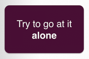 Choice 1 - Go It Alone